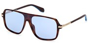 Seleccione el menú "COMPRAR" si desea comprar unas gafas de Adidas o seleccione la herramienta "ZOOM" si desea ampliar la foto OR0100-52V.