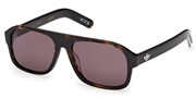 Seleccione el menú "COMPRAR" si desea comprar unas gafas de Adidas o seleccione la herramienta "ZOOM" si desea ampliar la foto OR0141-52E.