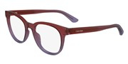 Calvin Klein CK24522-603