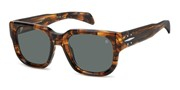 Seleccione el menú "COMPRAR" si desea comprar unas gafas de David Beckham o seleccione la herramienta "ZOOM" si desea ampliar la foto DB7146S-EX4QT.