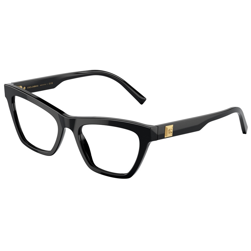 DOLCE E GABBANA 0DG3359-501