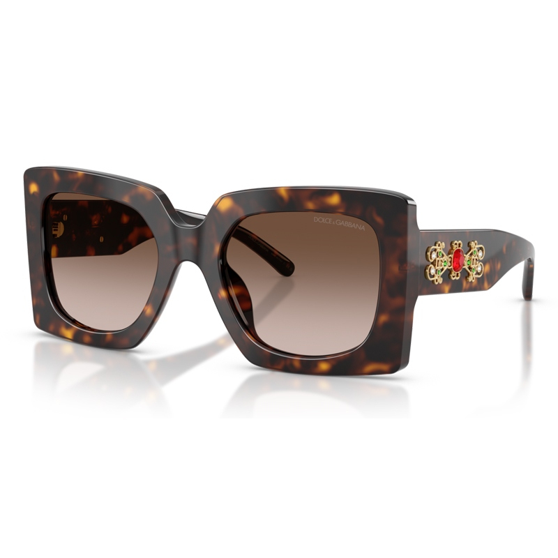 DOLCE E GABBANA 0DG4525B-50213