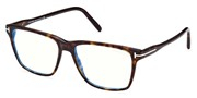 Seleccione el menú "COMPRAR" si desea comprar unas gafas de TomFord o seleccione la herramienta "ZOOM" si desea ampliar la foto FT5817B-052.