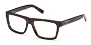 Seleccione el menú "COMPRAR" si desea comprar unas gafas de GCDS o seleccione la herramienta "ZOOM" si desea ampliar la foto GD5050-052.