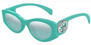 Gucci GG1691S-004