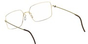 LINDBERG 5536-PGT