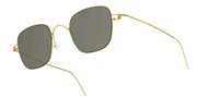 LINDBERG 8216-GTSL115