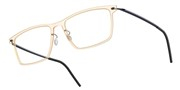 LINDBERG NOW6544C21MT802-PU16