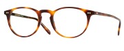 Seleccione el menú "COMPRAR" si desea comprar unas gafas de Oliver People o seleccione la herramienta "ZOOM" si desea ampliar la foto OV5004-1007.