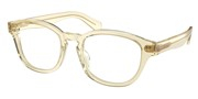 Seleccione el menú "COMPRAR" si desea comprar unas gafas de Polo Ralph Lauren o seleccione la herramienta "ZOOM" si desea ampliar la foto 0PH2261U-6088.