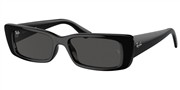 Ray Ban 0RB4425-667787