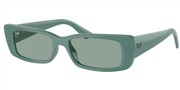 Seleccione el menú "COMPRAR" si desea comprar unas gafas de Ray Ban o seleccione la herramienta "ZOOM" si desea ampliar la foto 0RB4425-676282.