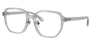 Seleccione el menú "COMPRAR" si desea comprar unas gafas de Ray Ban o seleccione la herramienta "ZOOM" si desea ampliar la foto 0RX5424D-8415.