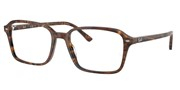 Seleccione el menú "COMPRAR" si desea comprar unas gafas de Ray Ban o seleccione la herramienta "ZOOM" si desea ampliar la foto 0RX5431-8395.