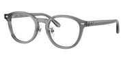 Seleccione el menú "COMPRAR" si desea comprar unas gafas de Ray Ban o seleccione la herramienta "ZOOM" si desea ampliar la foto 0RX5443D-8268.