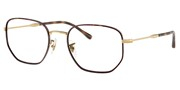 Seleccione el menú "COMPRAR" si desea comprar unas gafas de Ray Ban o seleccione la herramienta "ZOOM" si desea ampliar la foto 0RX6496-3177.