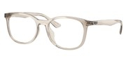 Seleccione el menú "COMPRAR" si desea comprar unas gafas de Ray Ban o seleccione la herramienta "ZOOM" si desea ampliar la foto 0RX7093D-8271.
