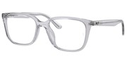 Seleccione el menú "COMPRAR" si desea comprar unas gafas de Ray Ban o seleccione la herramienta "ZOOM" si desea ampliar la foto 0RX7248D-8411.