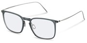 Rodenstock R7137-C