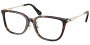 Swarovski Eyewear 0SK2041D-1002