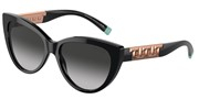 Seleccione el menú "COMPRAR" si desea comprar unas gafas de Tiffany o seleccione la herramienta "ZOOM" si desea ampliar la foto 0TF4196-80013C.